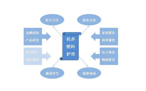 互聯網 養老服務信息化的新生力量與未來展望